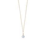 16" 14 Karat Gold Birthstone Necklace (January-December)