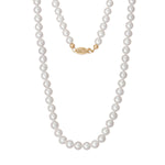 14 Karat Gold Knotted 6-6.5mm Near Round Cultured Freshwater Pearl Necklace