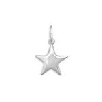 Silver or Gold Star Charm