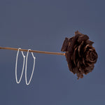 Thin Oval Wire Hoops