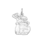 Oxidized Michigan State Charm