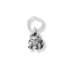 Oxidized 3D Toad Charm