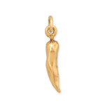 Silver or Gold 3D Chili Pepper Charm