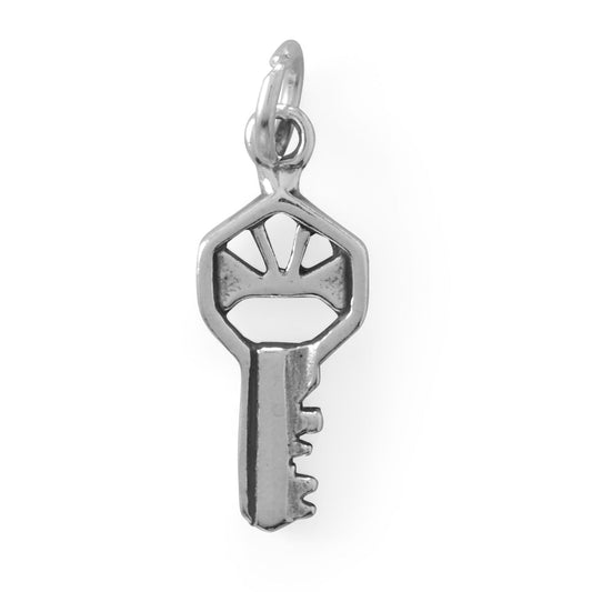 You Hold The Key! Oxidized 3D Key Charm