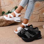 ea8c93fba5c040918cd3ebc1834d666d-Max